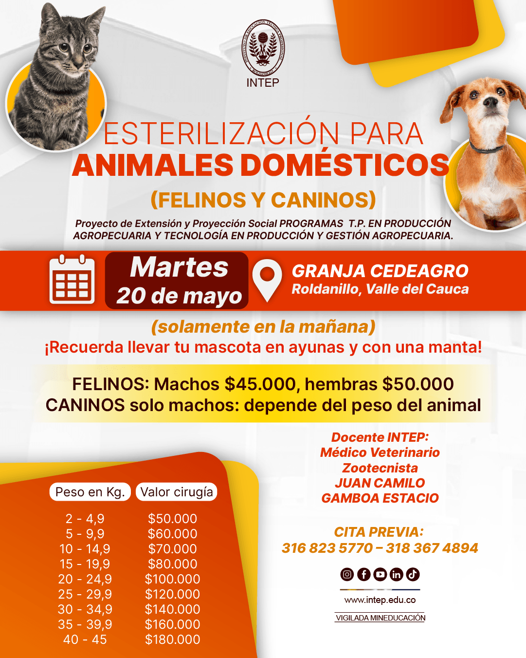Jornada de Esterilización para animales domésticos (Felinos y caninos). 